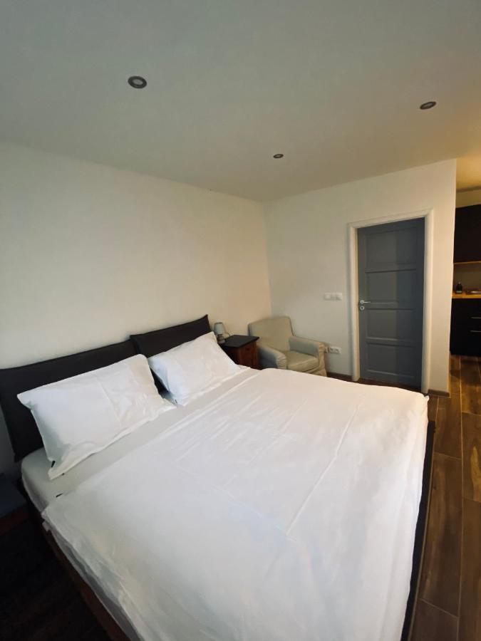 Apartman Ginko I ブラチスラヴァ エクステリア 写真